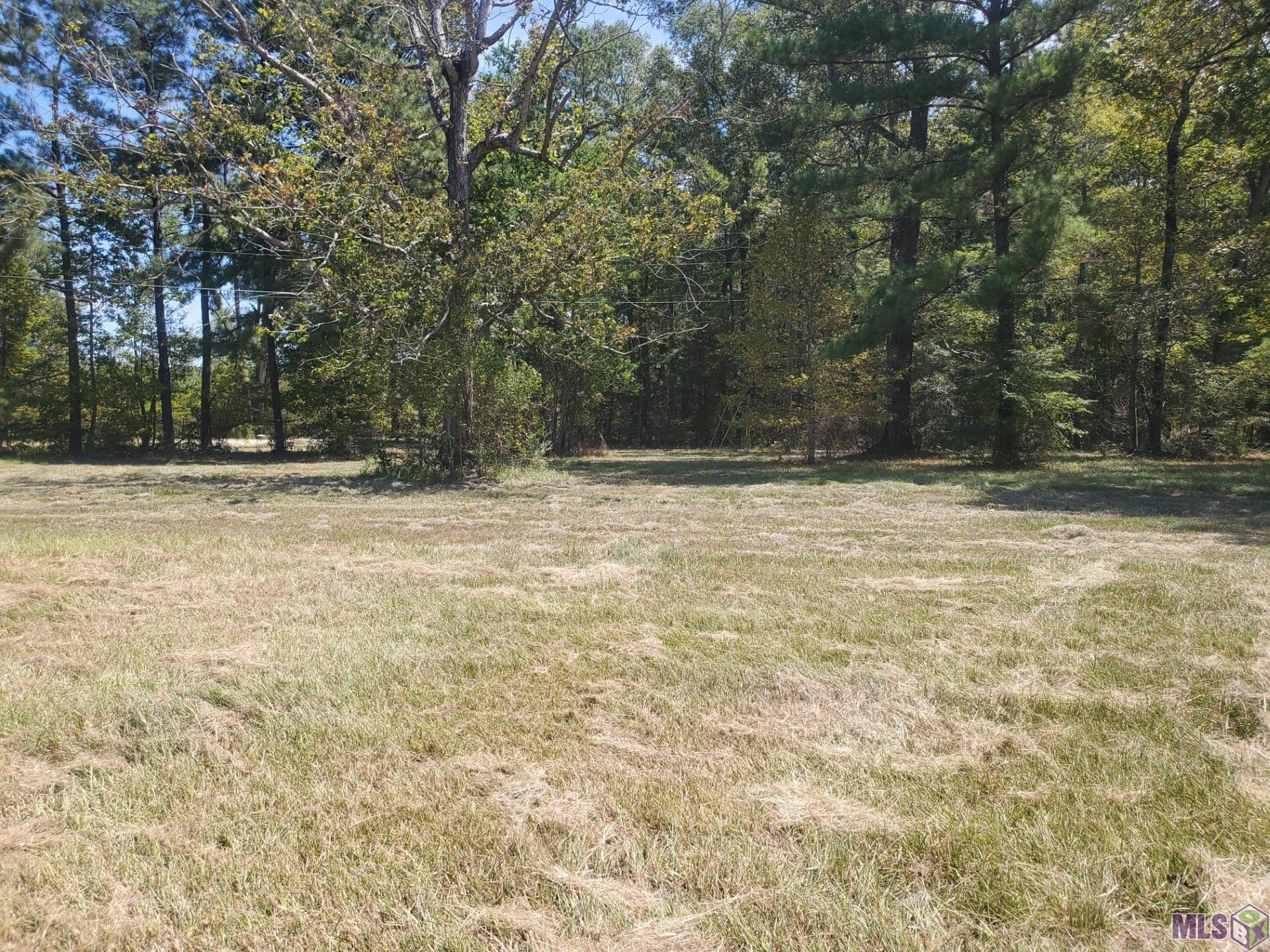 Lot D-4 N Achord Way, Pine Grove, Louisiana image 1