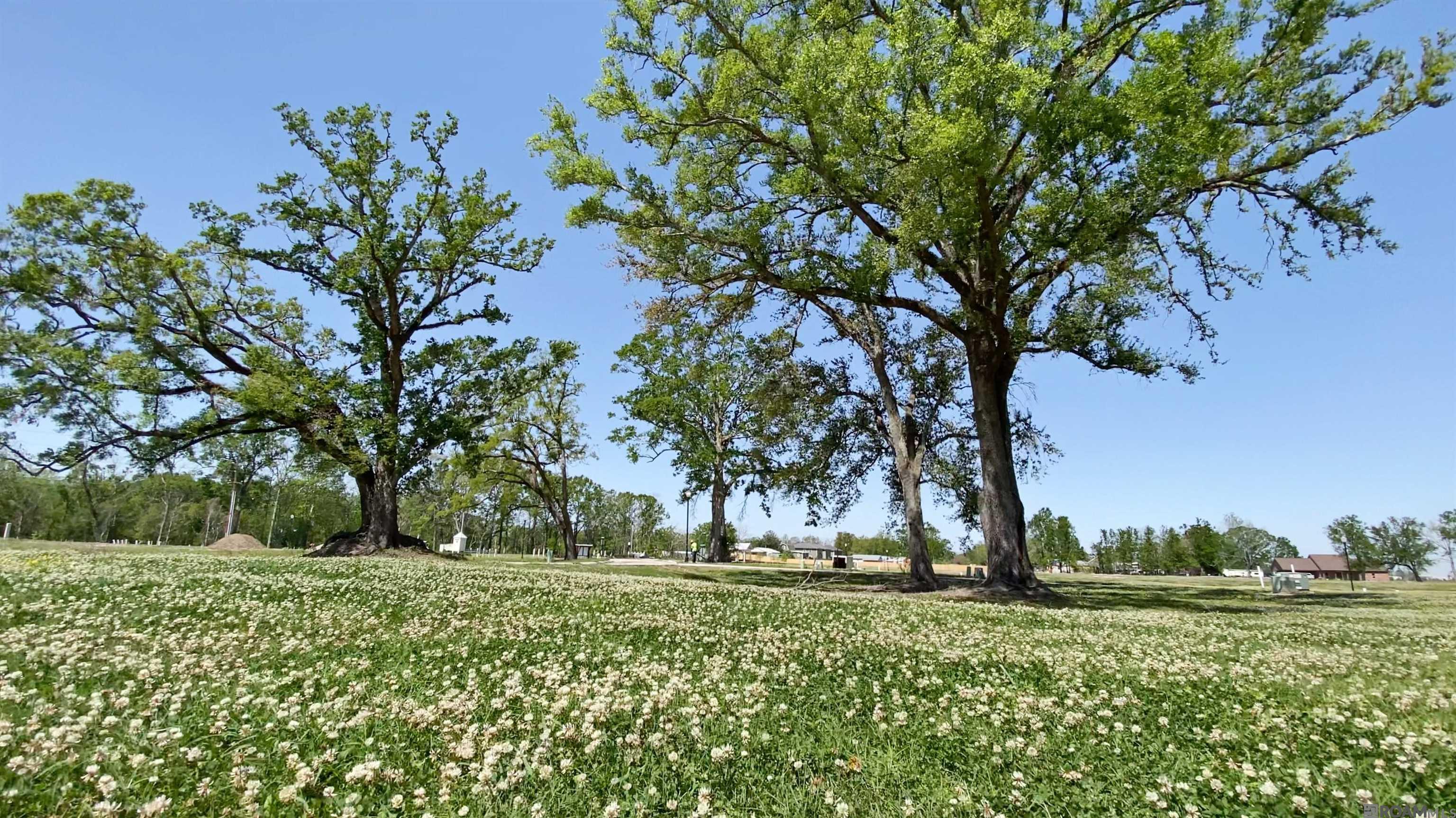 121 Stuart Drive, Pineville, Louisiana image 35