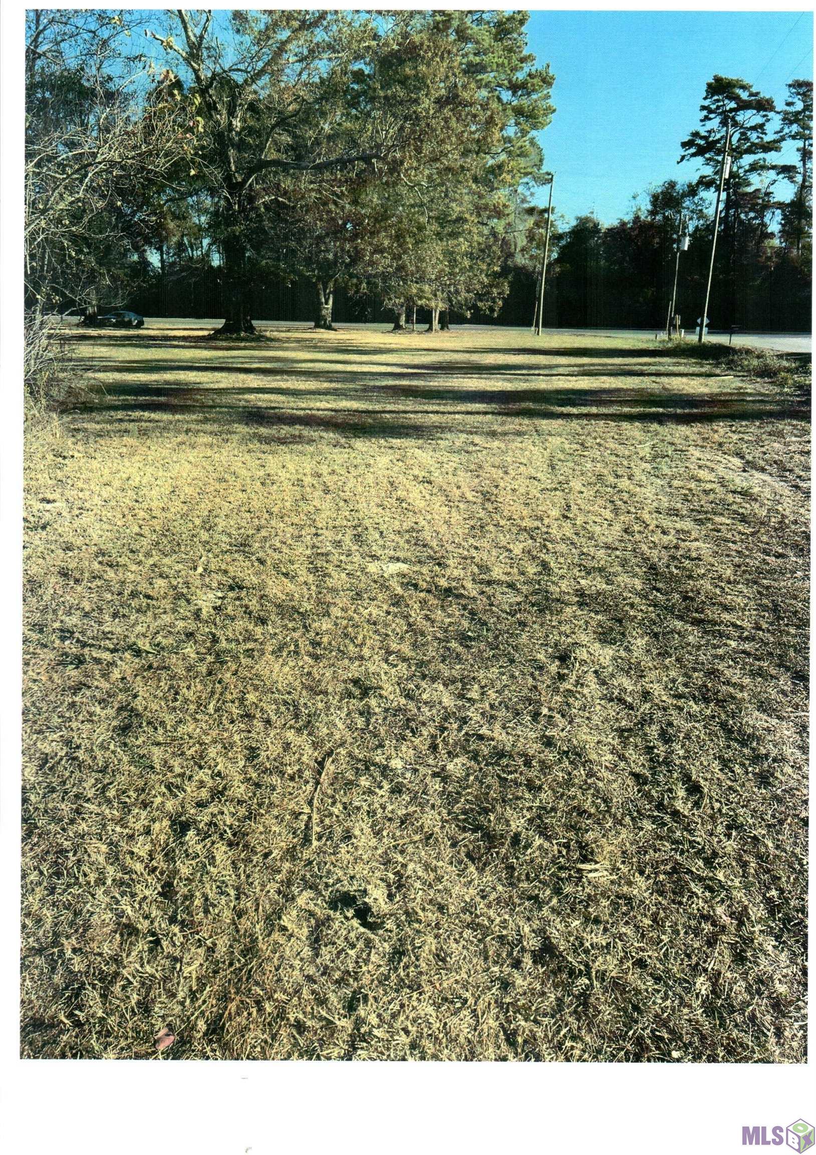 4-h Club Rd, Denham Springs, Louisiana image 10