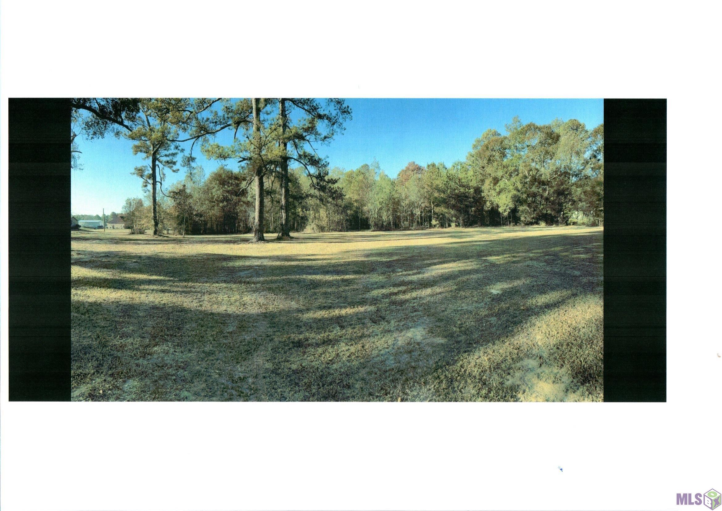 4-h Club Rd, Denham Springs, Louisiana image 8