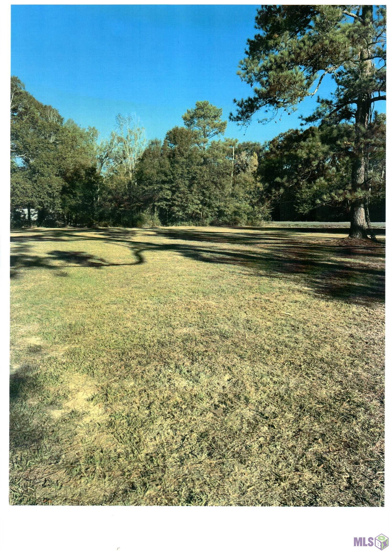 4-h Club Rd, Denham Springs, Louisiana image 9