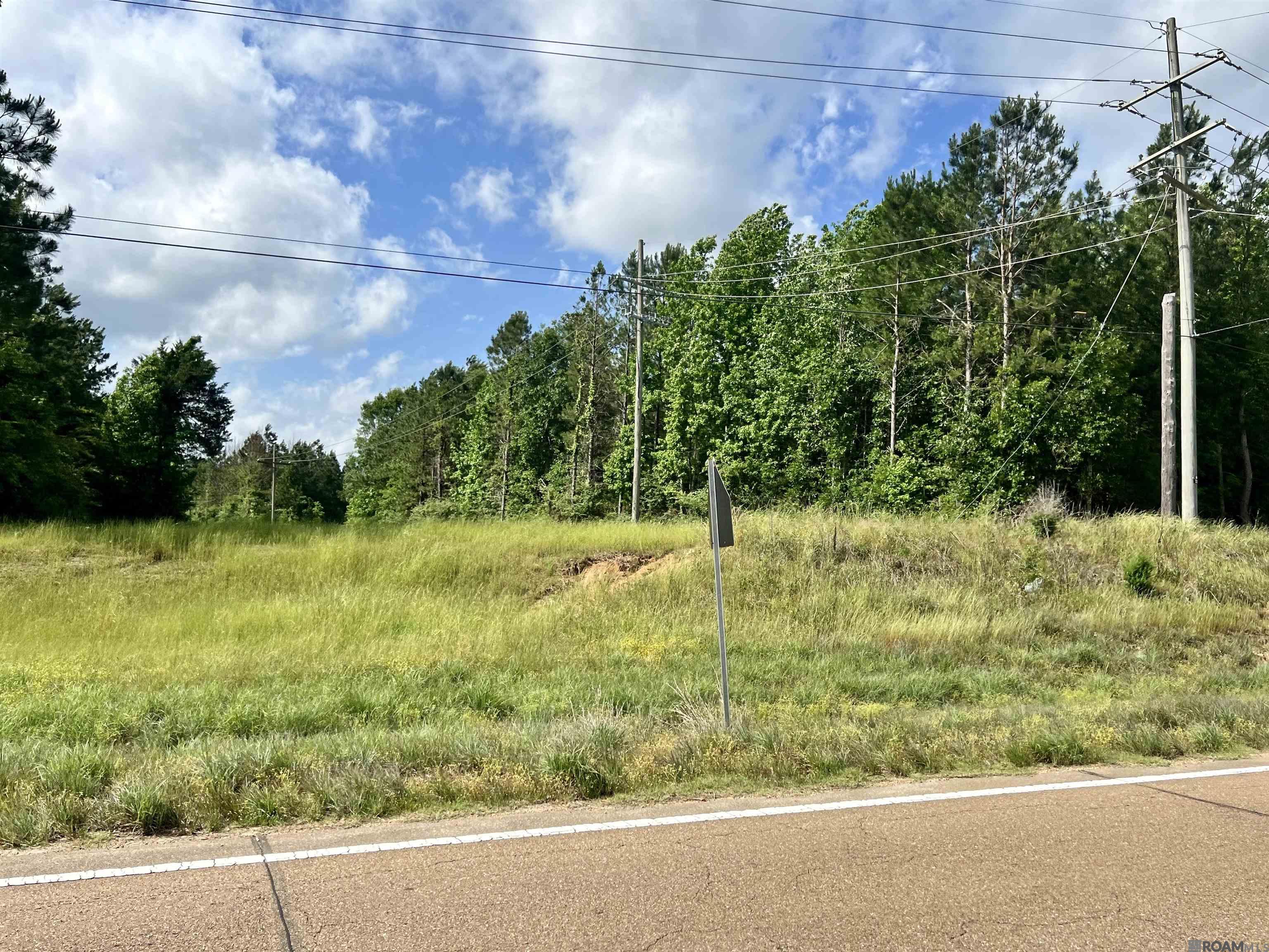 LOT 10 Hwy 24, Centreville, Mississippi image 4