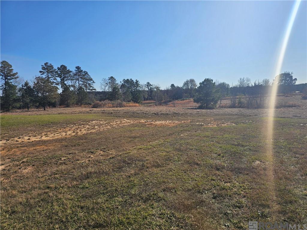 141 Campground Cutoff Road, Montgomery, Louisiana image 13