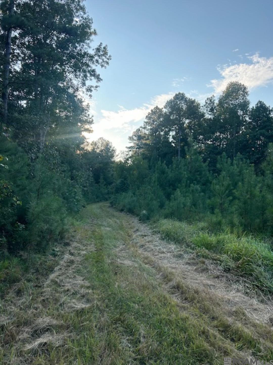 Tract A Rogers Rd, Saint Francisville, Louisiana image 30