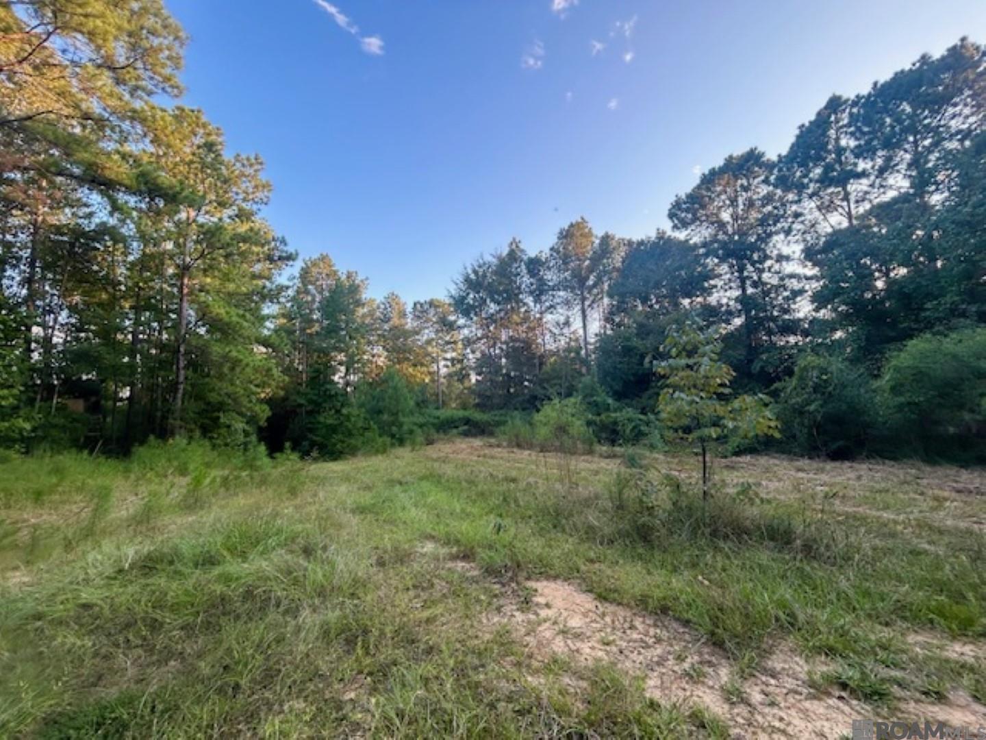 Tract A Rogers Rd, Saint Francisville, Louisiana image 36