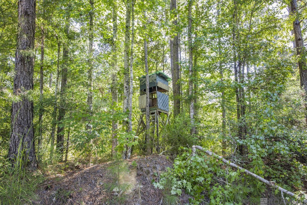 Tract A Rogers Rd, Saint Francisville, Louisiana image 5