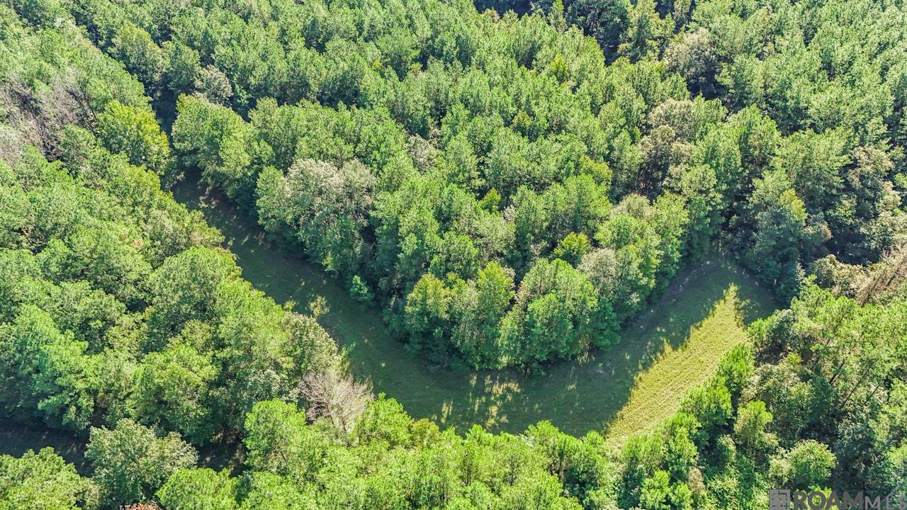 Tract A Rogers Rd, Saint Francisville, Louisiana image 15