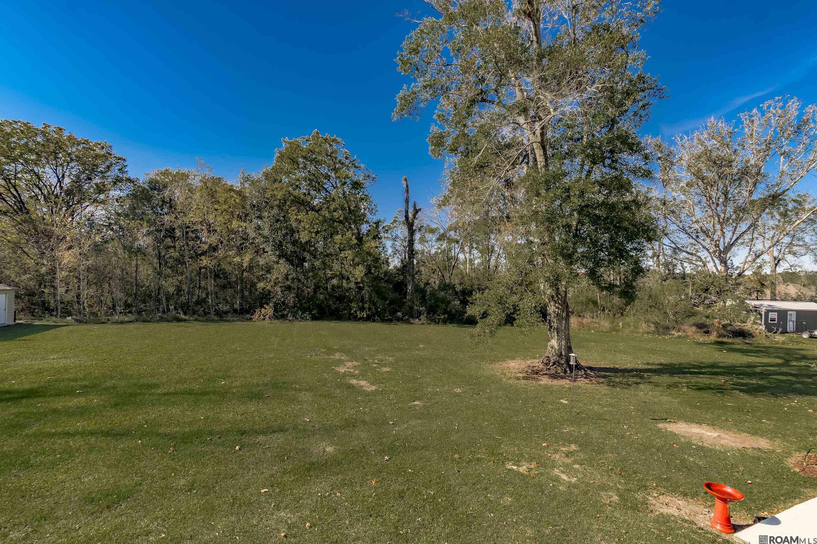 11453 Marrero Rd, Gonzales, Louisiana image 6