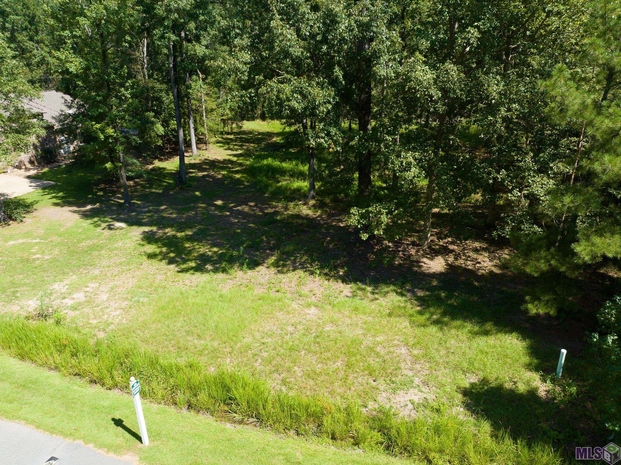 14039 Clubhouse Way, Saint Francisville, Louisiana image 3