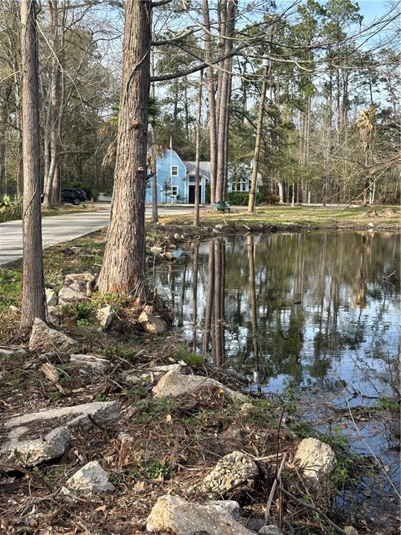 12075 Adams Road, Hammond, Louisiana image 9