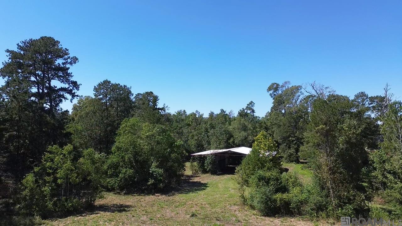 27147 Sonoma Ave, Zachary, Louisiana image 6