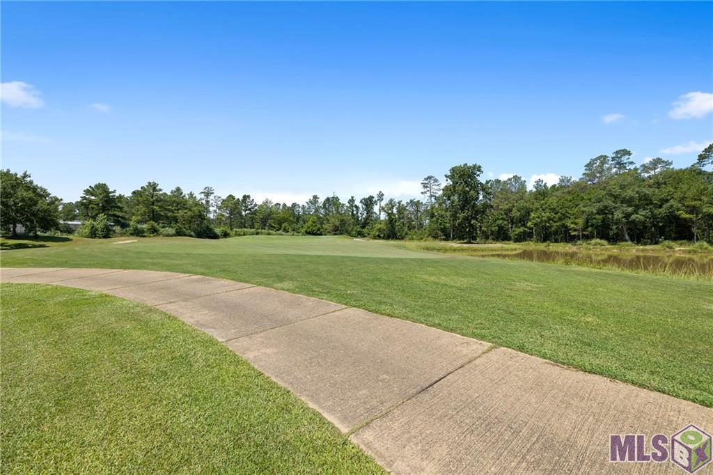 30748 Blue Wing Crescent, Springfield, Louisiana image 8