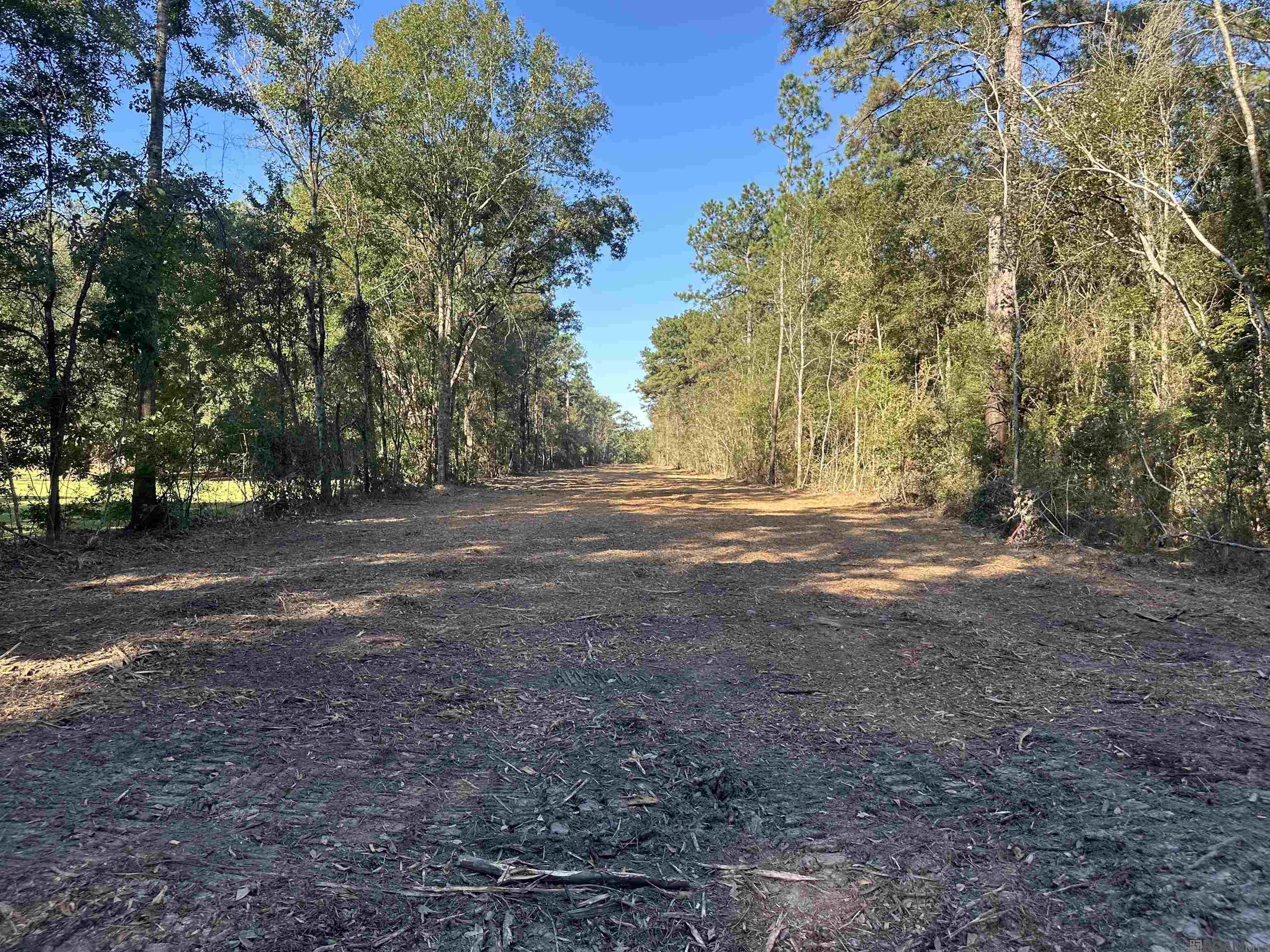 5.25 Acres Heritage Acres Ln, Robert, Louisiana image 17