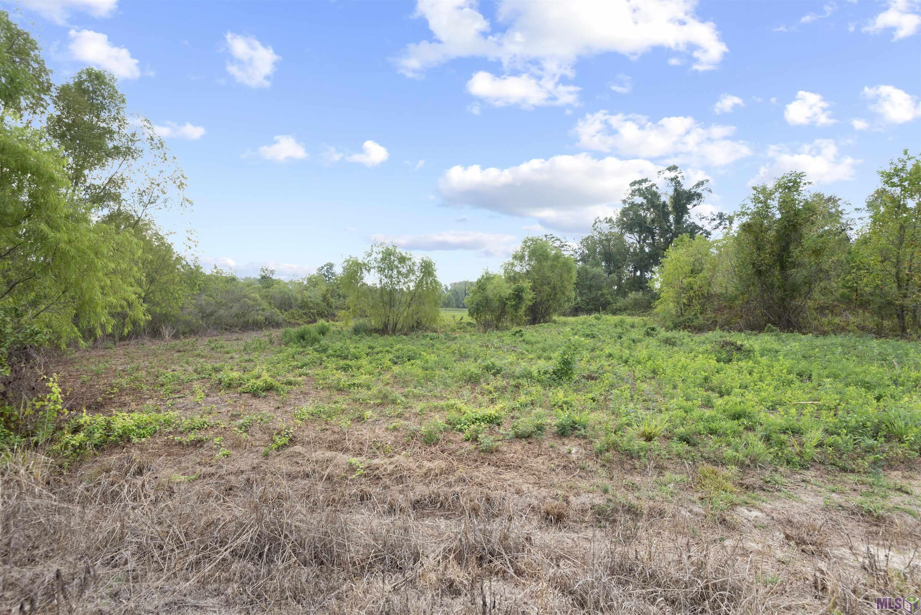 TBD Lot 23-A Amite Acres, Prairieville, Louisiana image 3