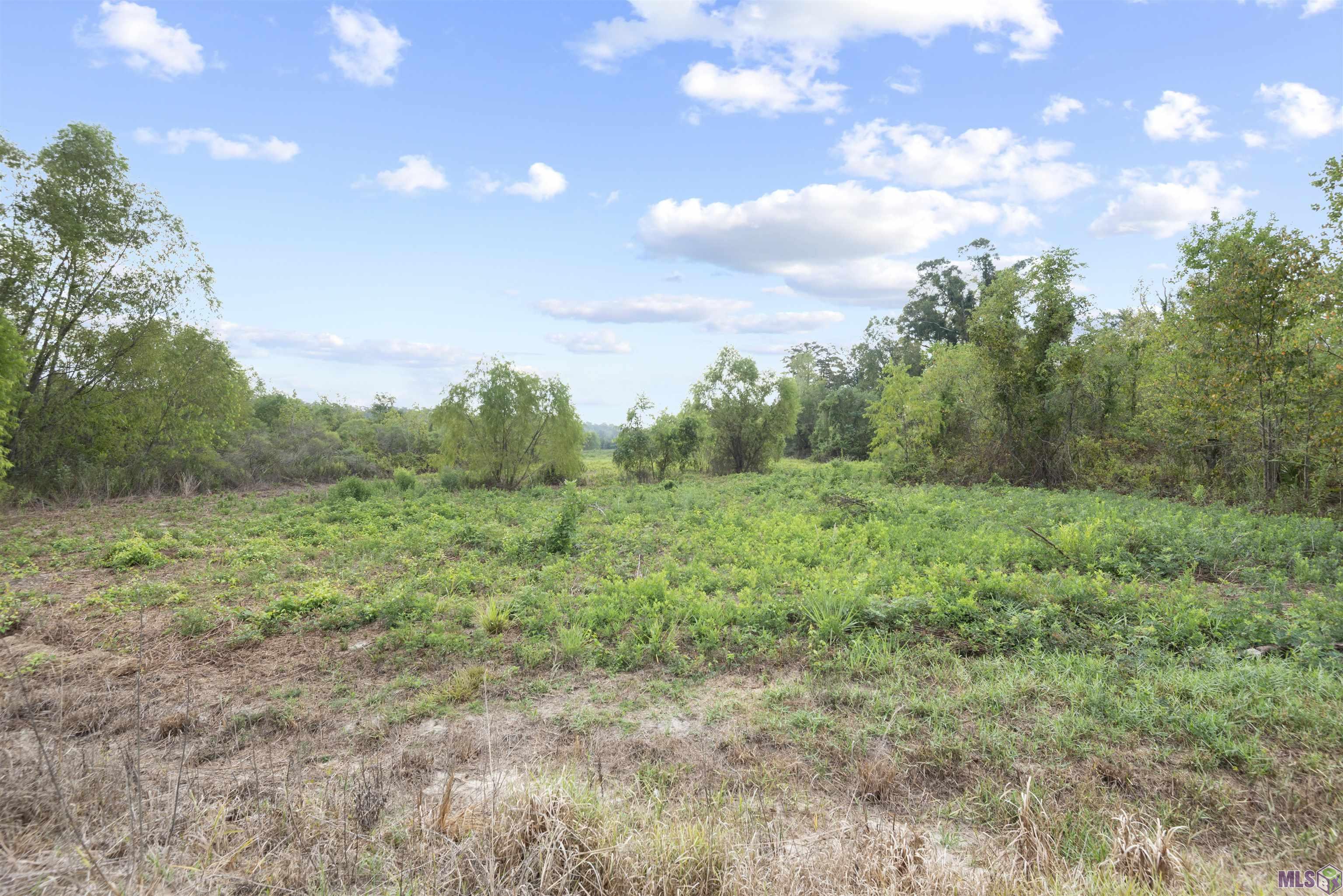 TBD Lot 23-A Amite Acres, Prairieville, Louisiana image 5