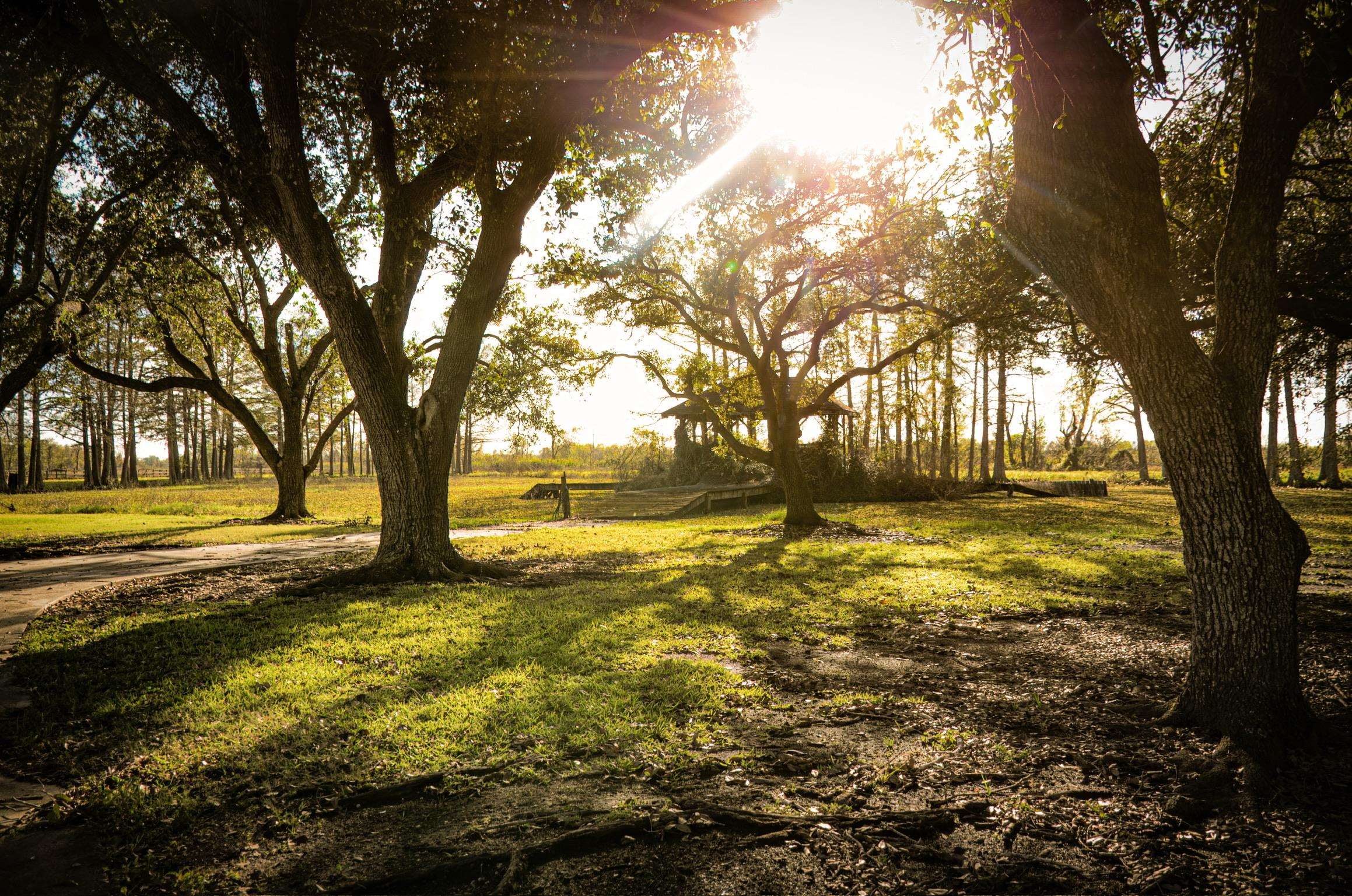 317 Bayou Blue Rd, Houma, Louisiana image 18