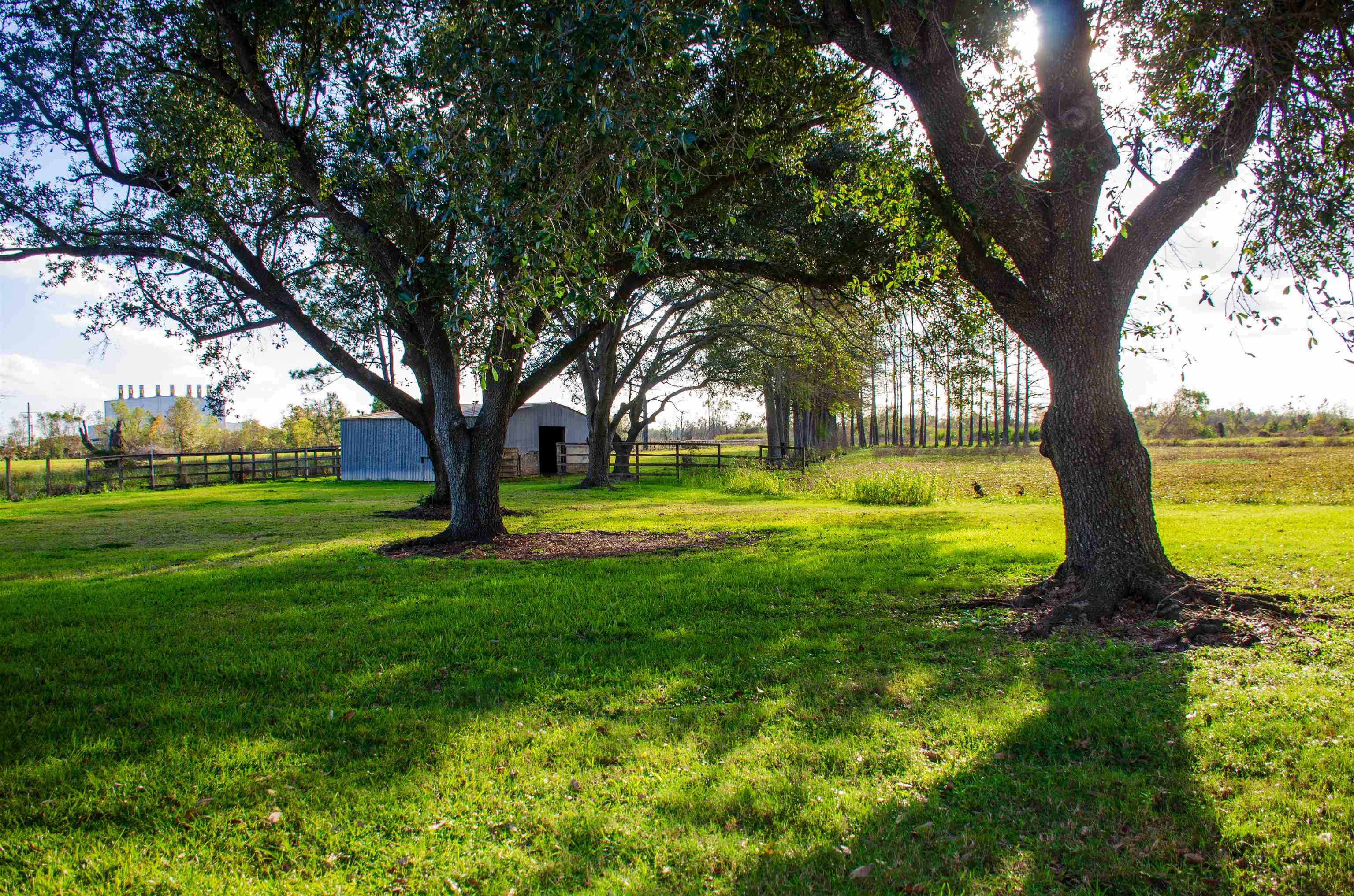 317 Bayou Blue Rd, Houma, Louisiana image 16