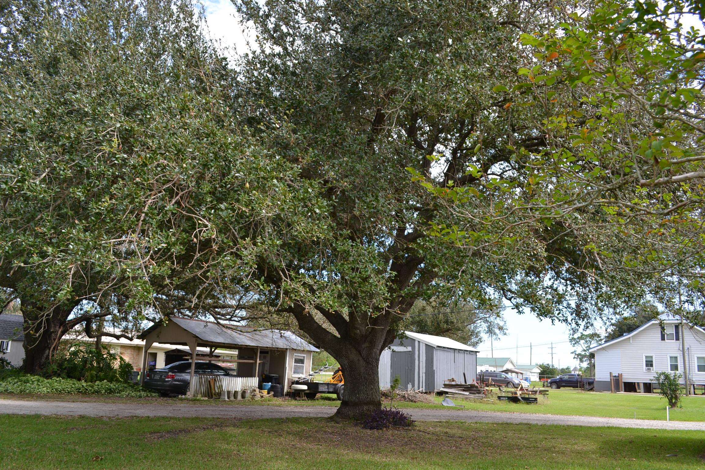 128 Alida Lane, Larose, Louisiana image 14