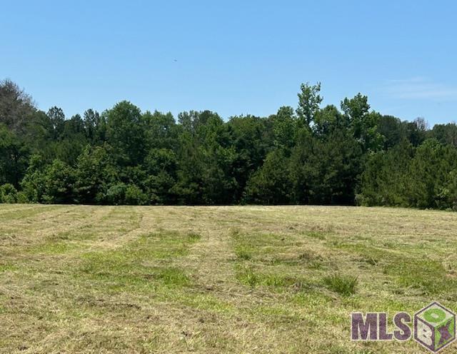 Lot 1 Freeland Rd, Saint Francisville, Louisiana image 1