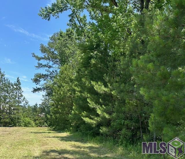 Lot 1 Freeland Rd, Saint Francisville, Louisiana image 3