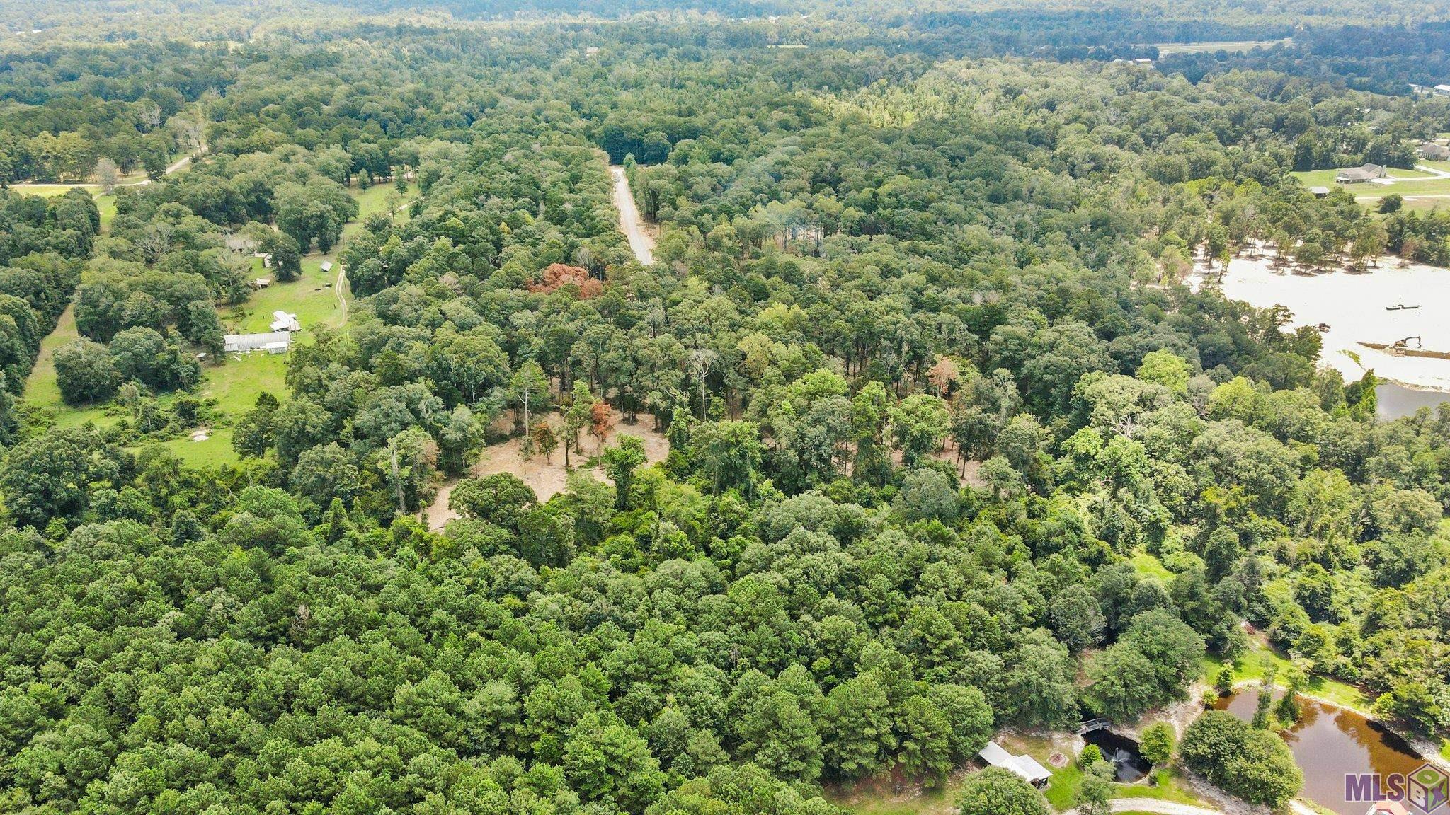 TBD Little Sandy Ln, Zachary, Louisiana image 4