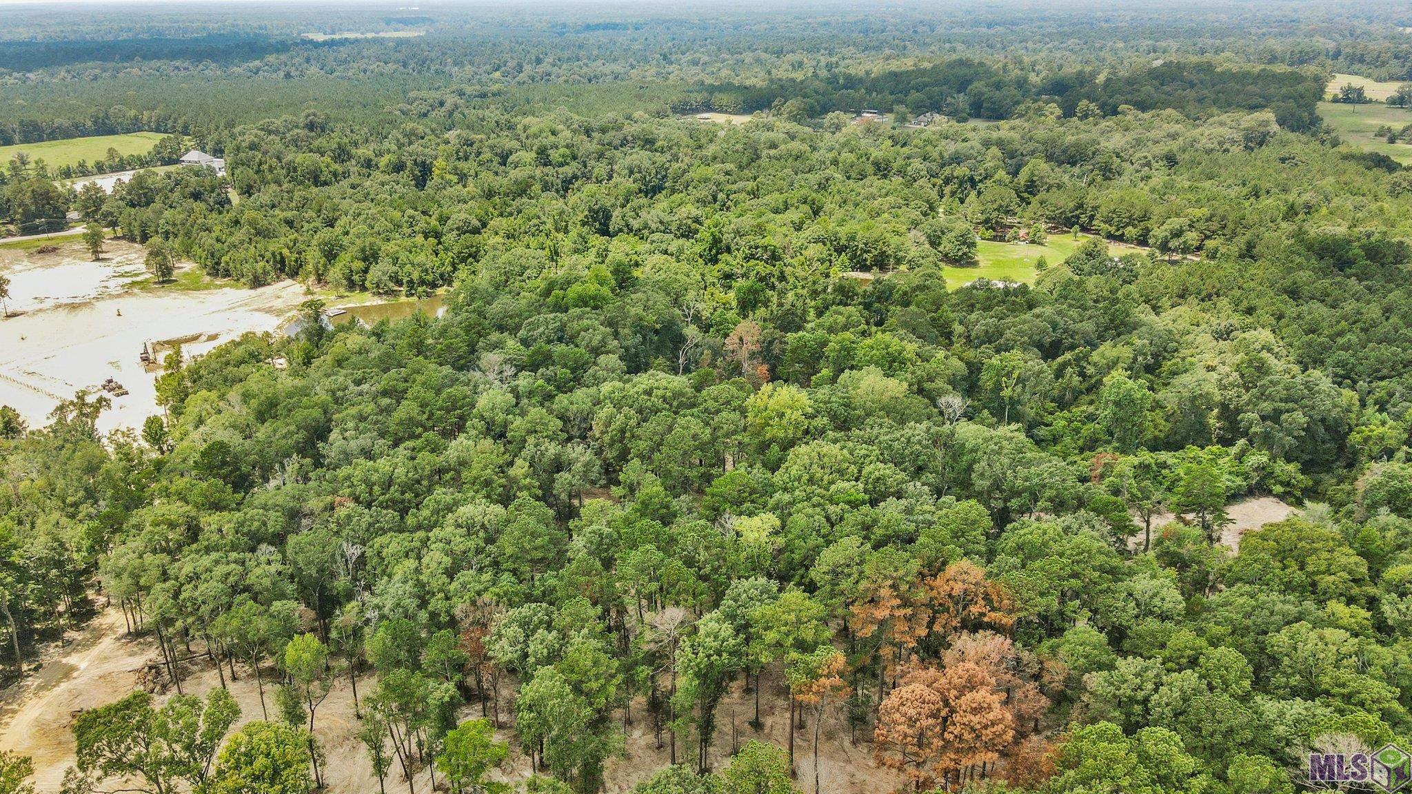 TBD Little Sandy Ln, Zachary, Louisiana image 5