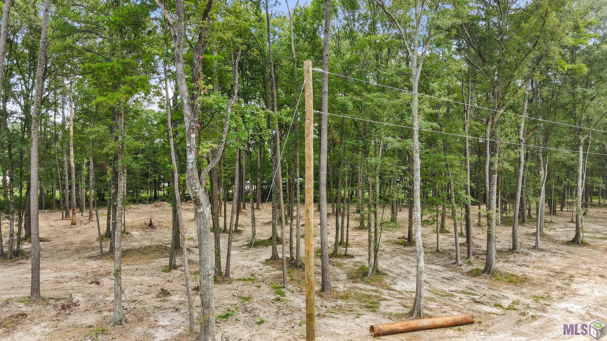 TBD Little Sandy Ln, Zachary, Louisiana image 3