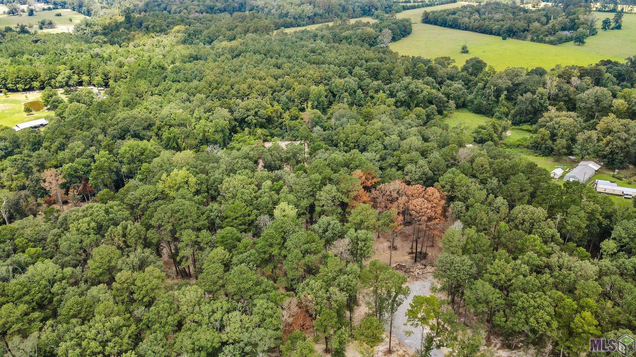 TBD Little Sandy Ln, Zachary, Louisiana image 6