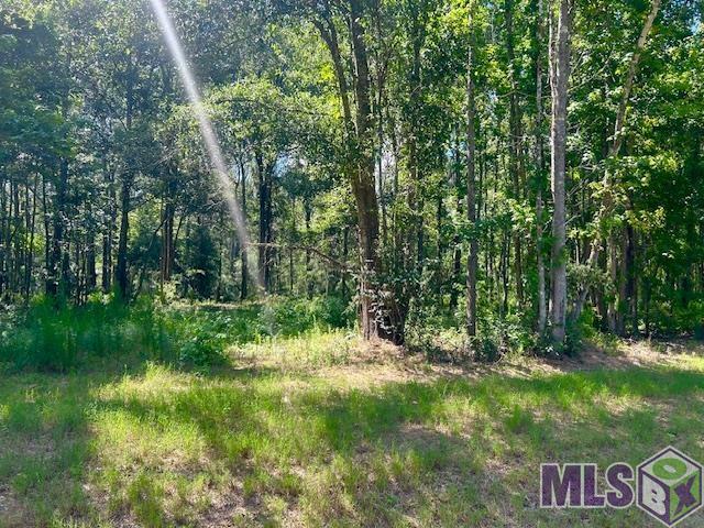 Lot 11 Oak Run Dr, Saint Francisville, Louisiana image 22