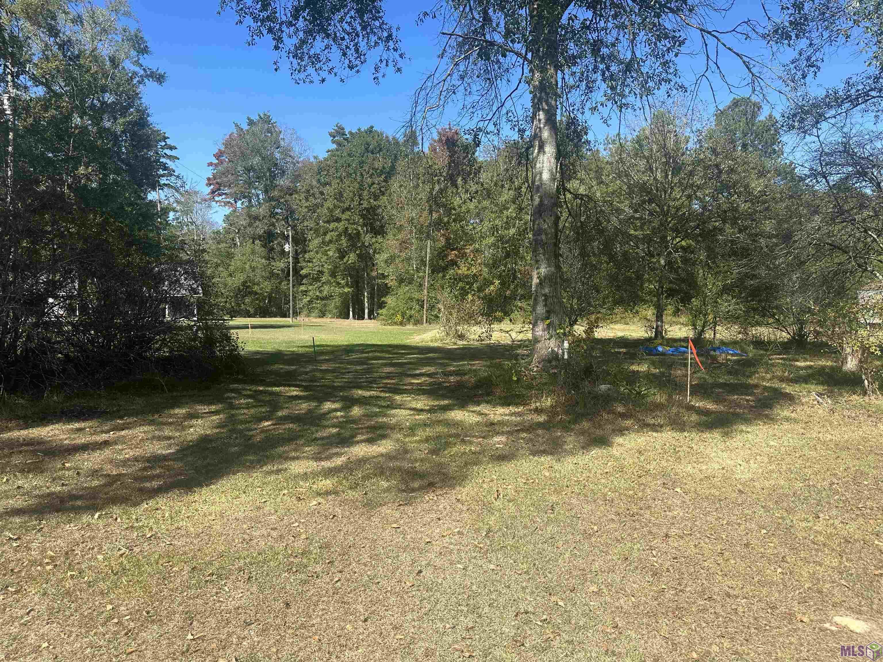 19624 Taylor Rd, Livingston, Louisiana image 18