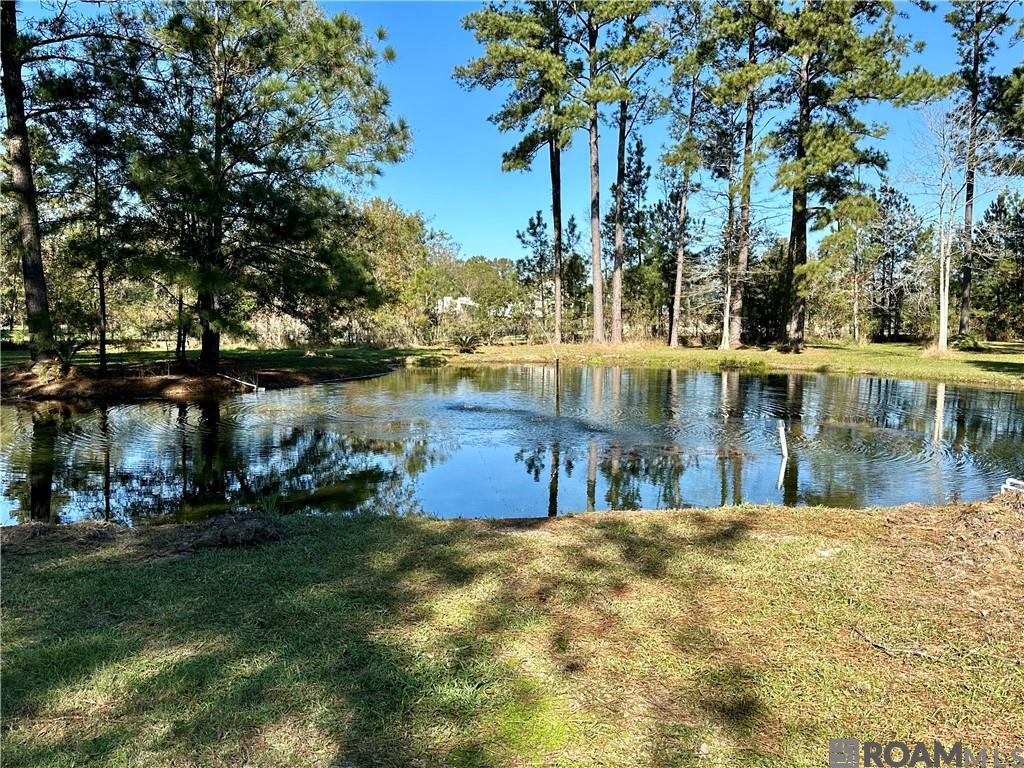 50189 445 Highway, Loranger, Louisiana image 12