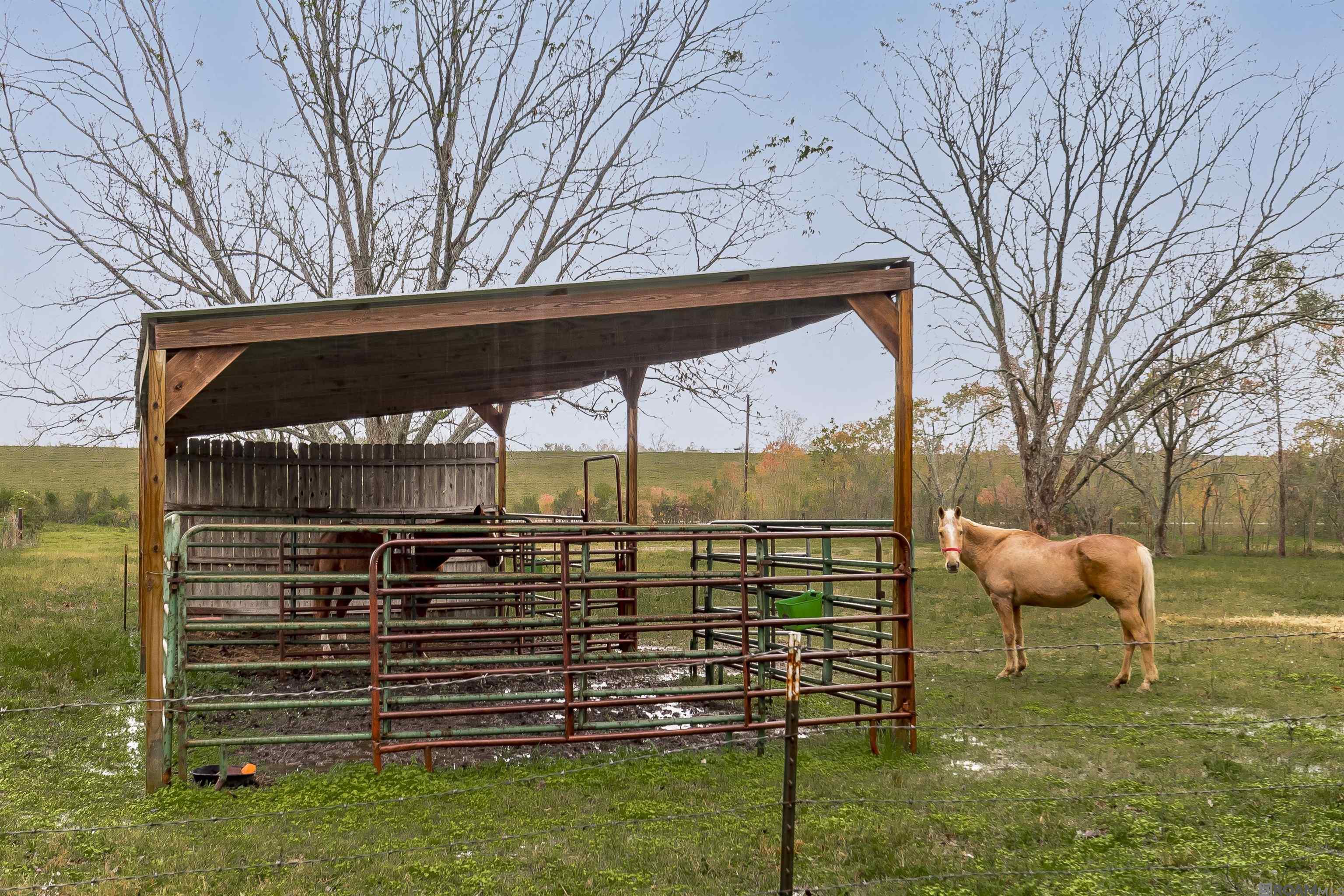 10051 N River Rd, Port Allen, Louisiana image 25