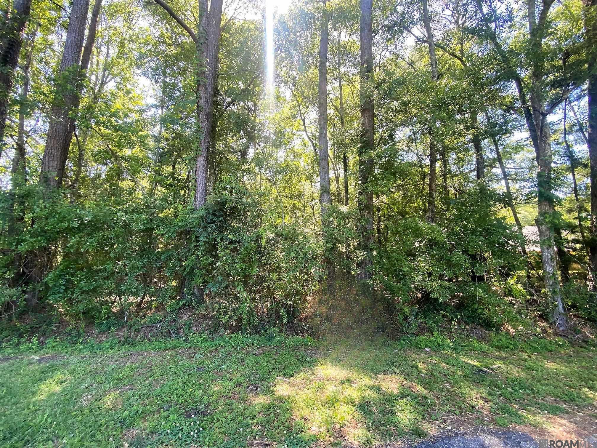 2.06 Acres Woodridge St, Denham Springs, Louisiana image 2