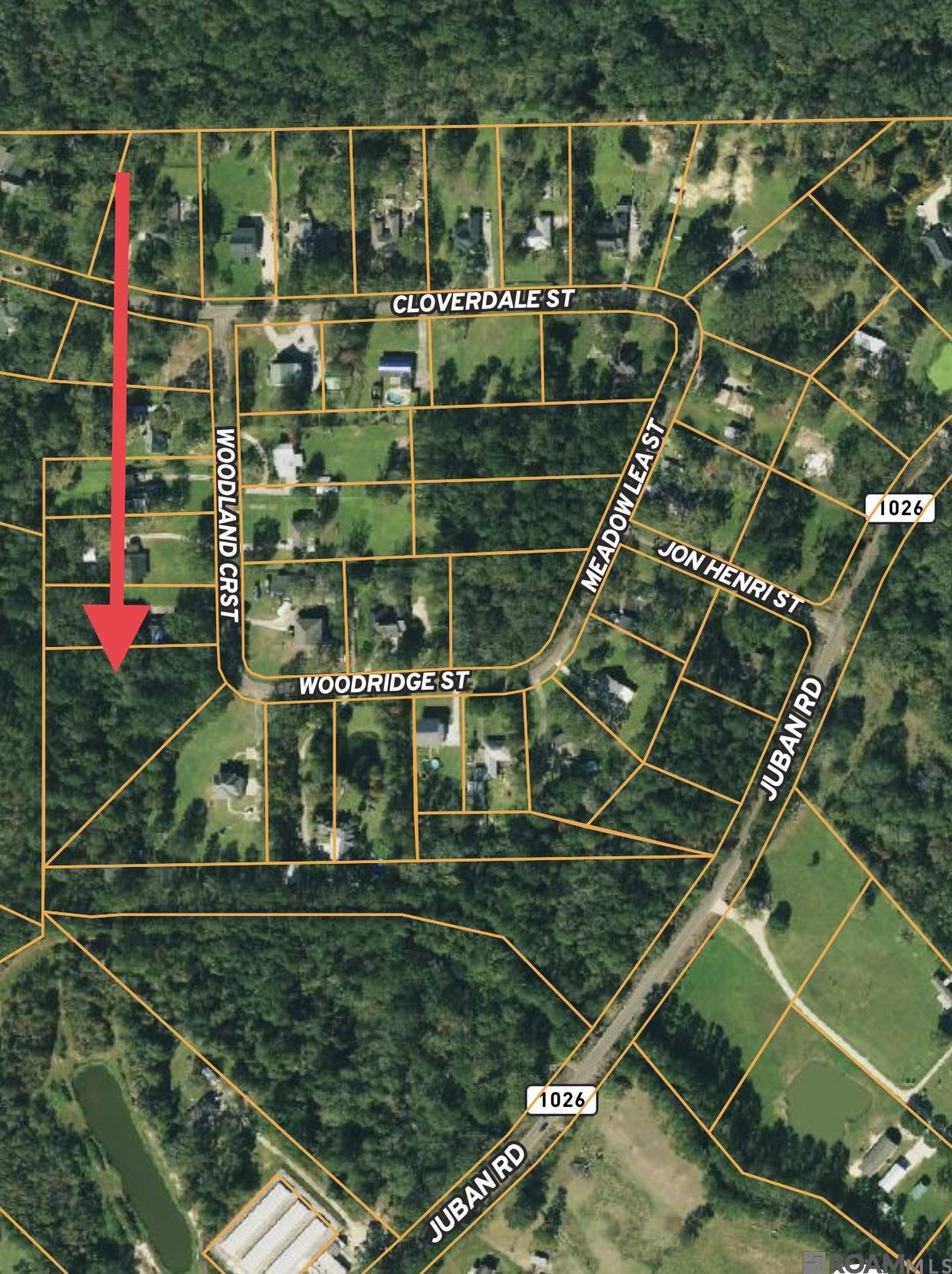 2.06 Acres Woodridge St, Denham Springs, Louisiana image 1