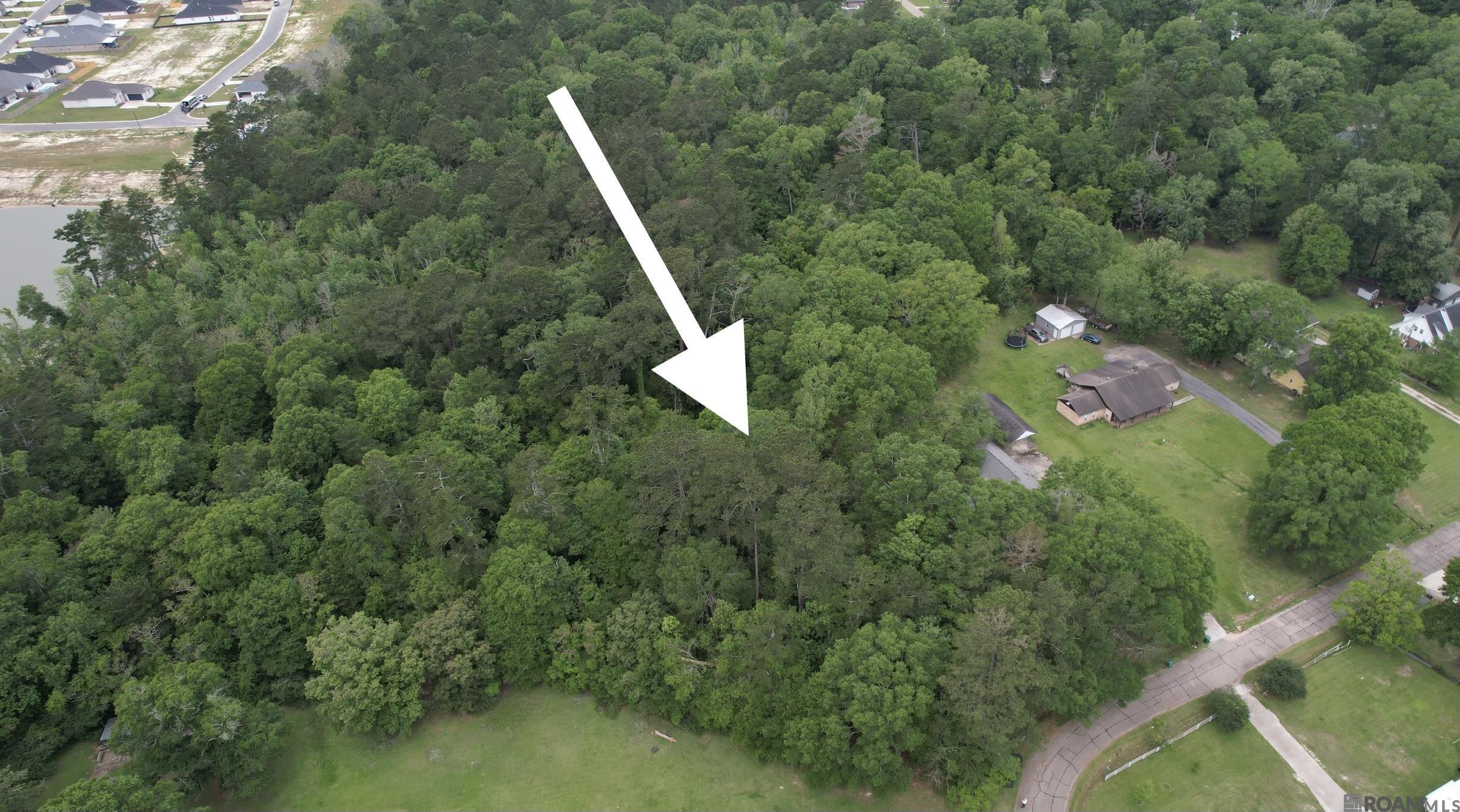 2.06 Acres Woodridge St, Denham Springs, Louisiana image 3