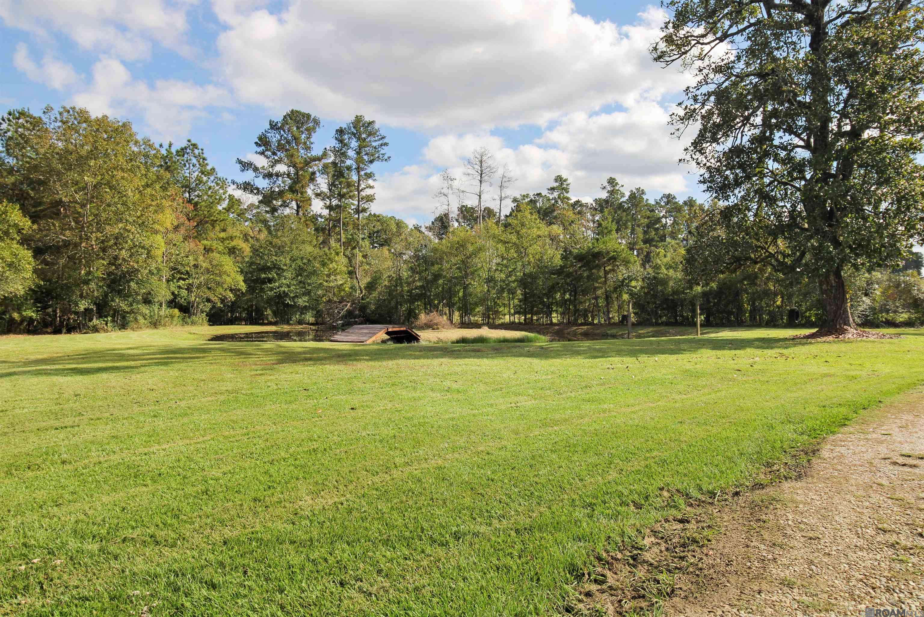 32268 Briarwood Dr, Walker, Louisiana image 9