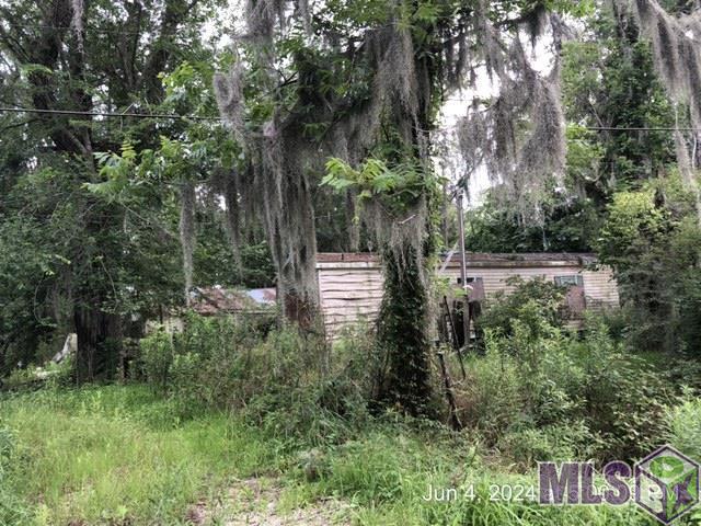 14847 Switch Rd, French Settlement, Louisiana image 9