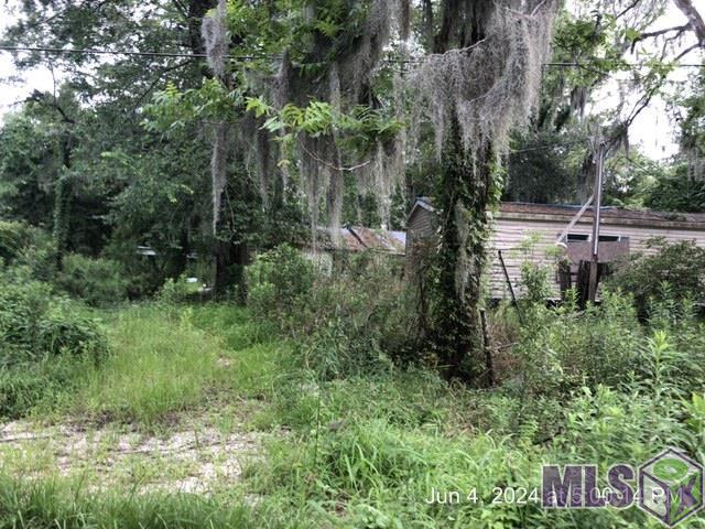 14847 Switch Rd, French Settlement, Louisiana image 8