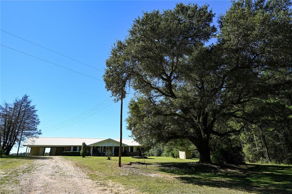 36264 Jw Riles (1acre) Road, Mount Hermon, Louisiana image 1