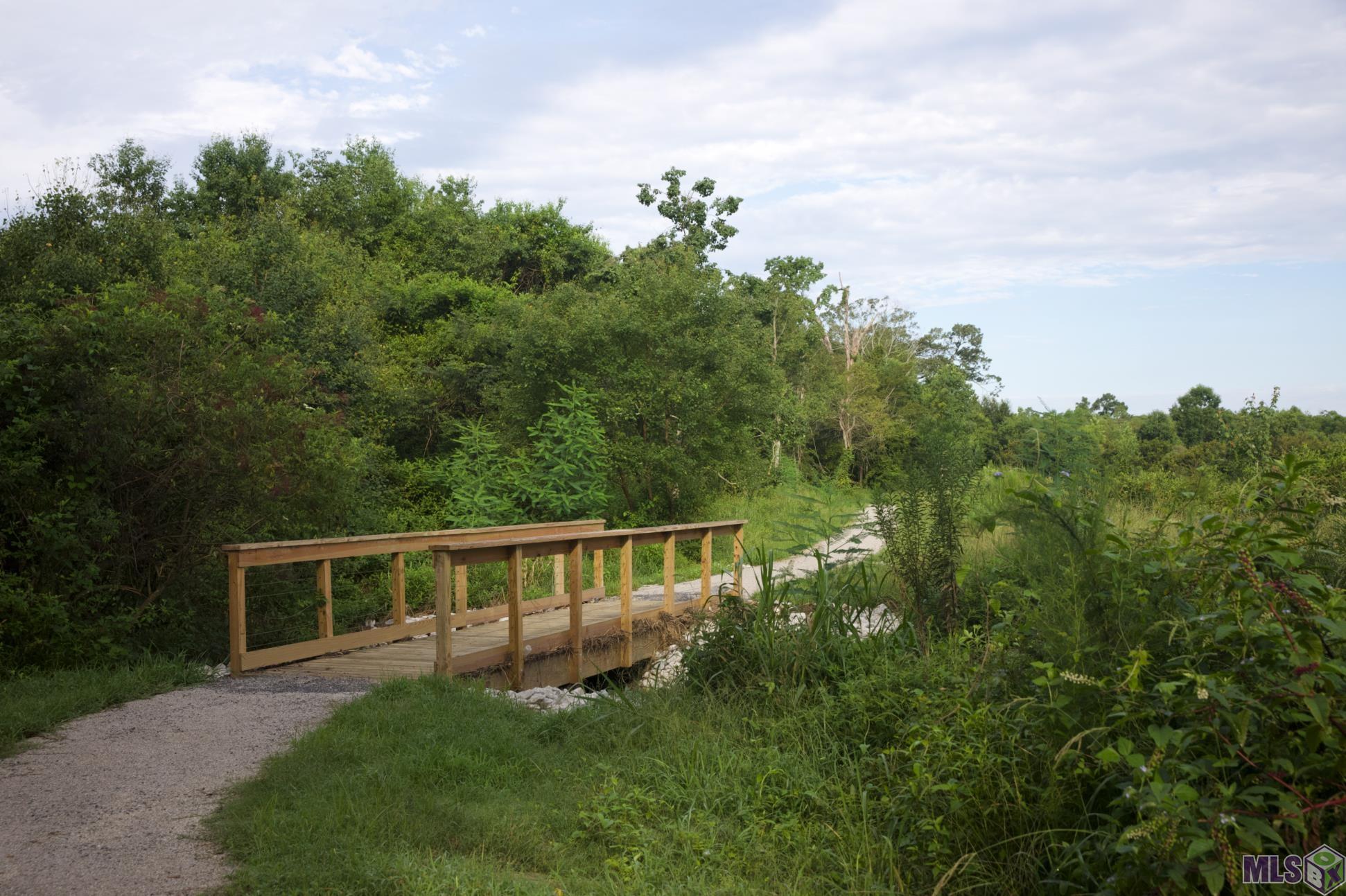 1256 Patriot Crossing, Zachary, Louisiana image 9