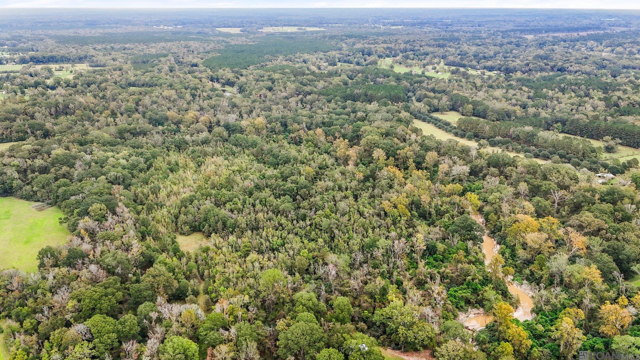 TBD Zeb Chaney Rd, Zachary, Louisiana image 3