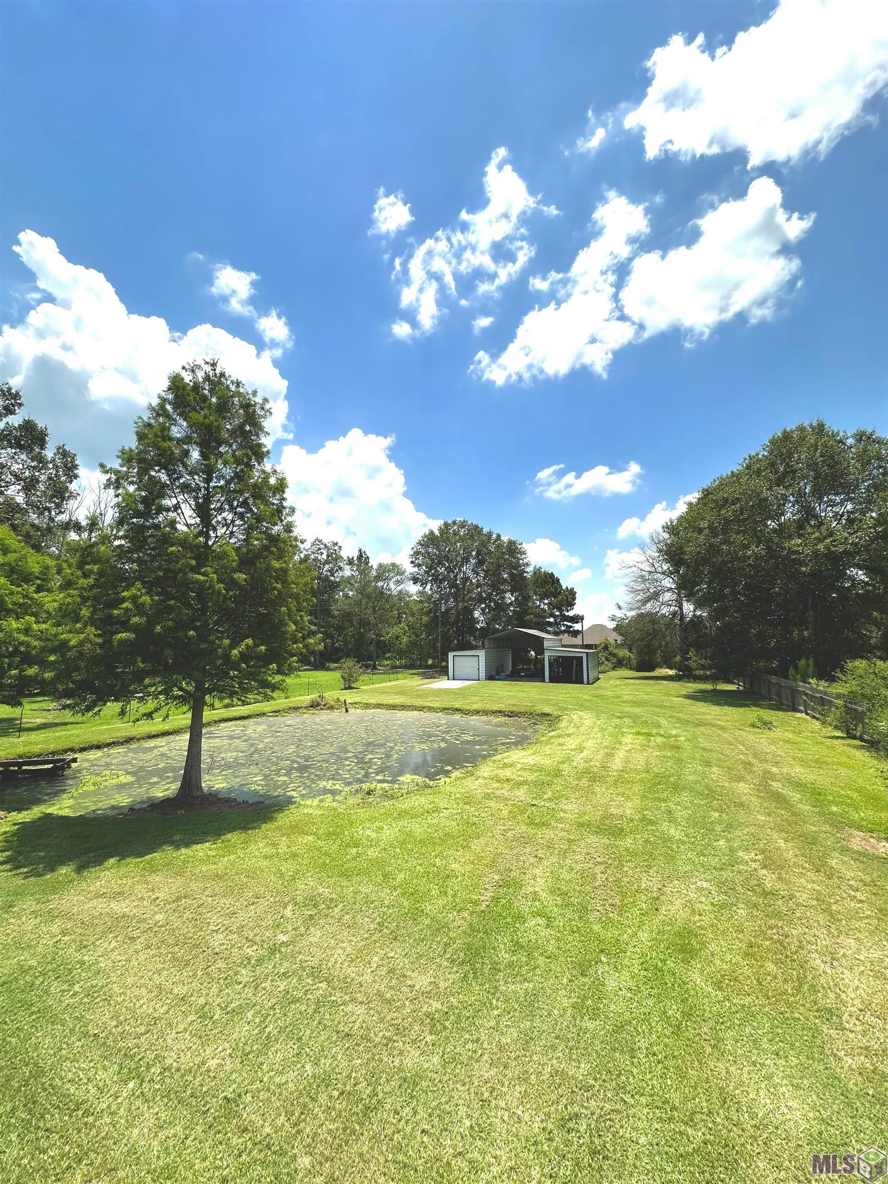 12247 Leblanc Ln, Walker, Louisiana image 15