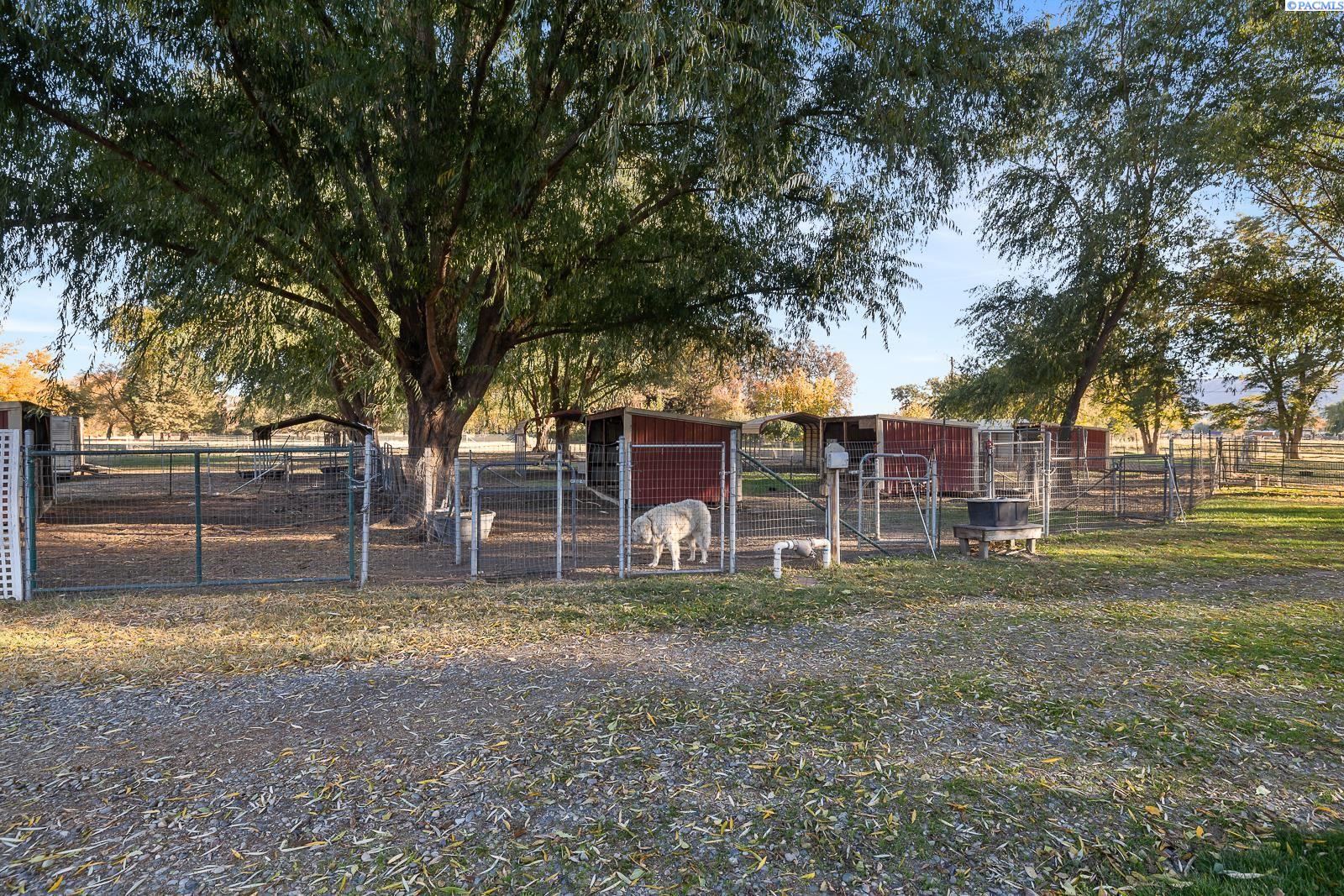 Benton City, Washington 99320, United States, 4 Bedrooms Bedrooms, ,3 BathroomsBathrooms,Residential,Pending,124854