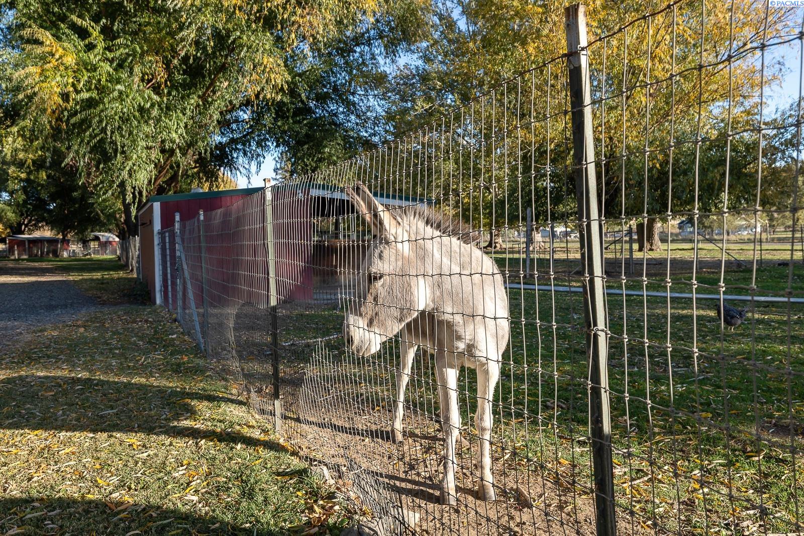 Benton City, Washington 99320, United States, 4 Bedrooms Bedrooms, ,3 BathroomsBathrooms,Residential,Pending,124854