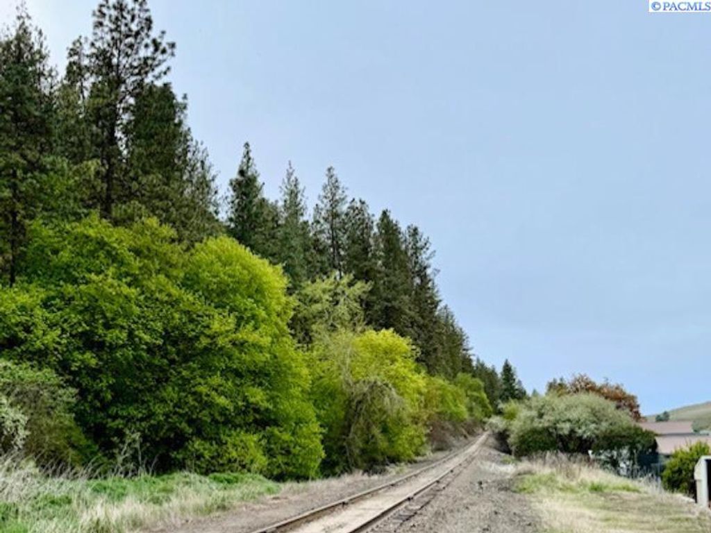Photo of TBD By Perkins St, Colfax, WA 99111 (MLS # 283919)