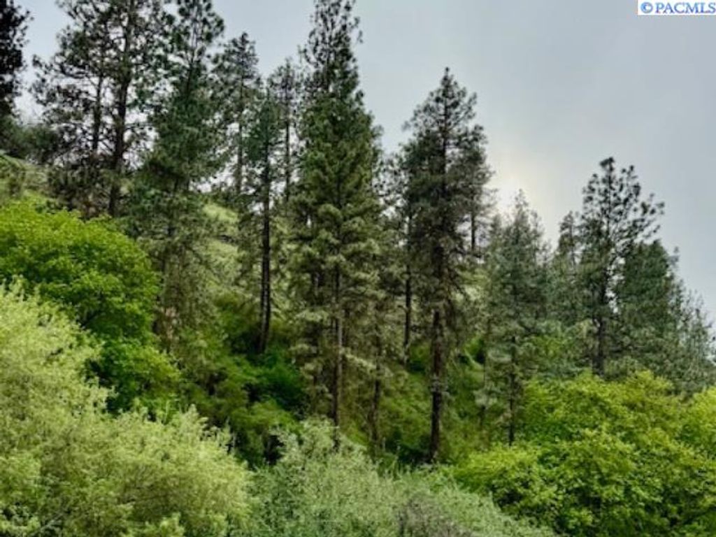 Photo of TBD By Perkins St, Colfax, WA 99111 (MLS # 283919)
