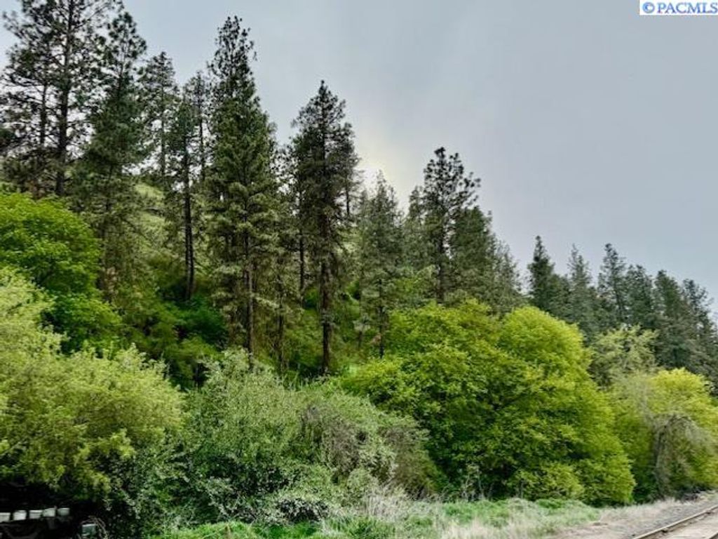 Photo of TBD By Perkins St, Colfax, WA 99111 (MLS # 283919)