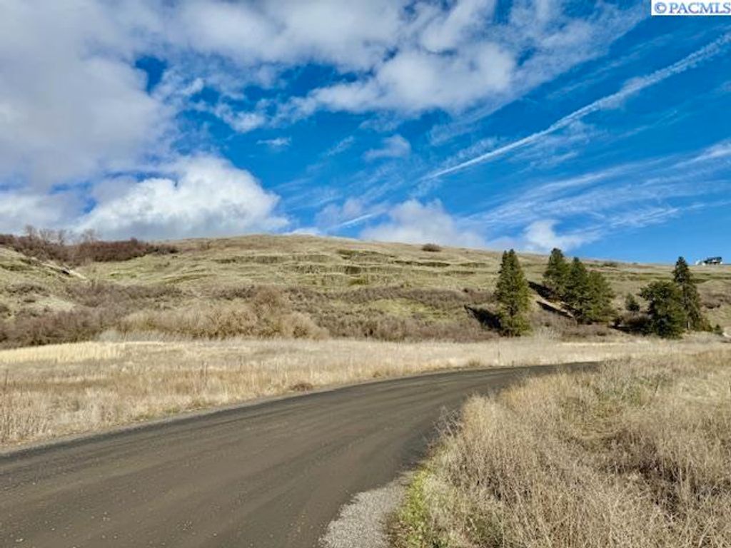 Photo of 20 Red Tail Ridge, Colfax, WA 99111 (MLS # 282459)