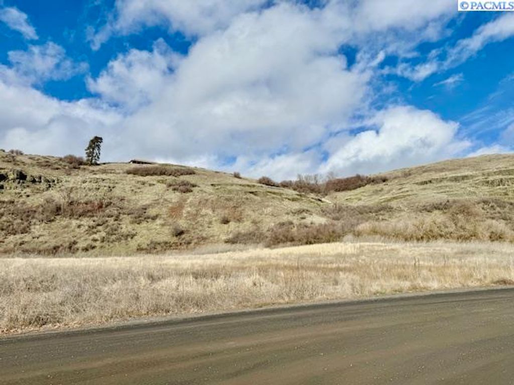 Photo of 18 Red Tail Ridge, Colfax, WA 99111 (MLS # 282458)