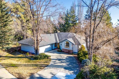 Photo of 945 SW Alcora Dr, Pullman, WA 99163 (MLS # 290071)